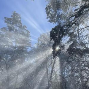 圣采儿的拉尿部位
